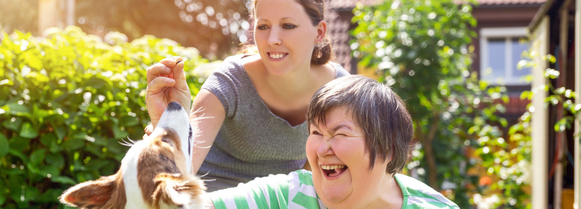 interior banner image